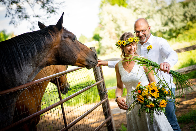 Diana_Brandyn_Wedding_a-388